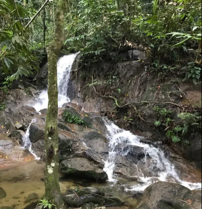 Bukit Kiara Trail
